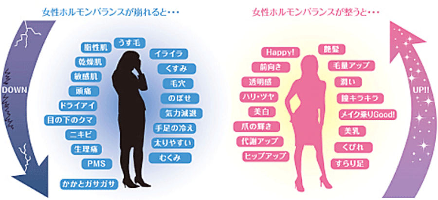 女性ホルモンについて