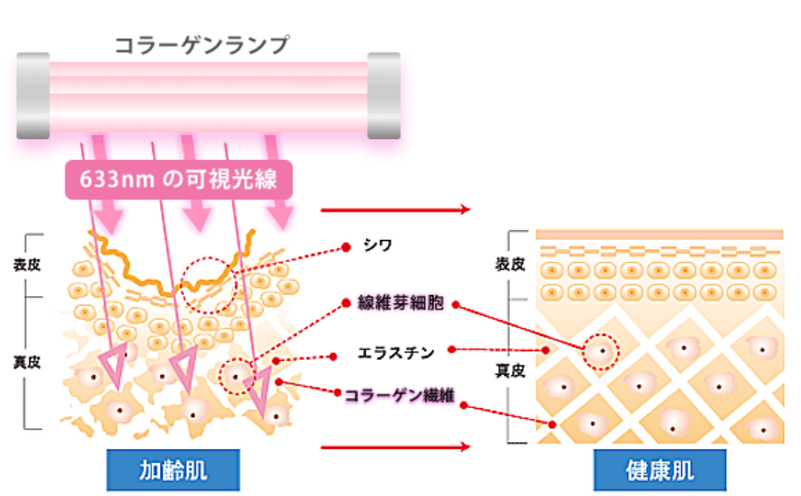 コラーゲンマシン seecretの仕組み